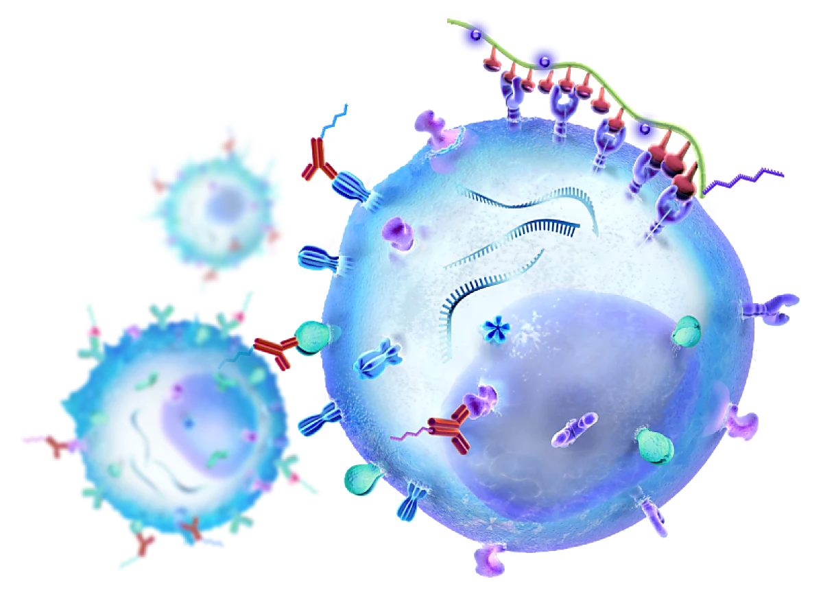 Indian Immunology Society